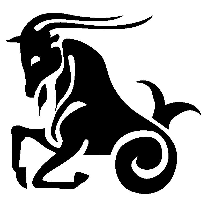 capricorne 2