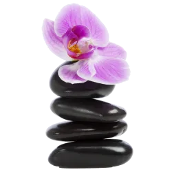 Galet Orchidée