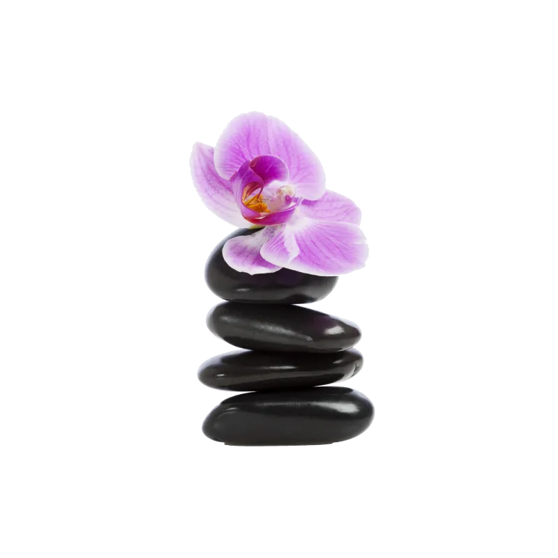 Galet Orchidée
