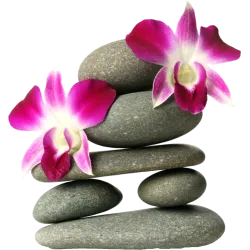 Galet Orchidée