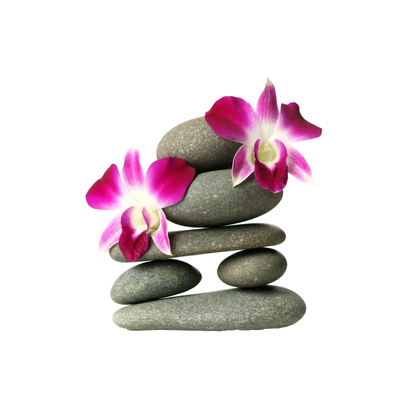 Galet Orchidée