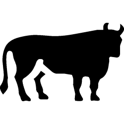 taureau 4