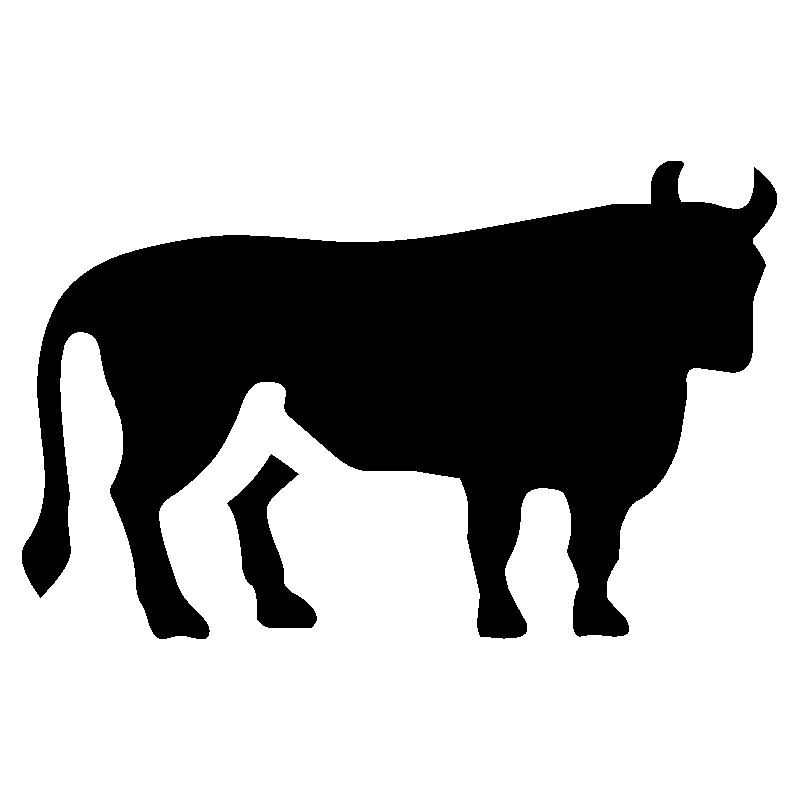 taureau 4