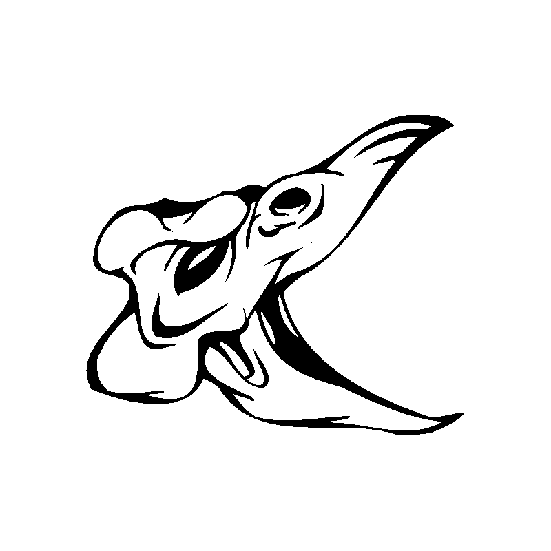Tête de mort