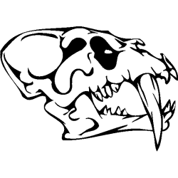 Tête de mort