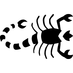 scorpion 4