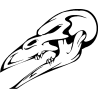 Tête de mort