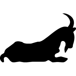 capricorne 4