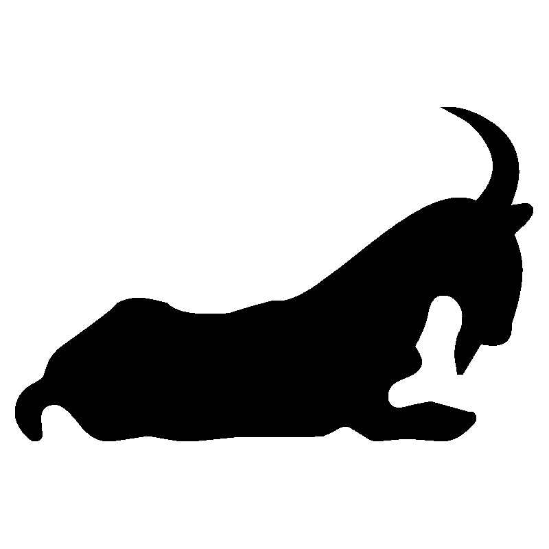 capricorne 4