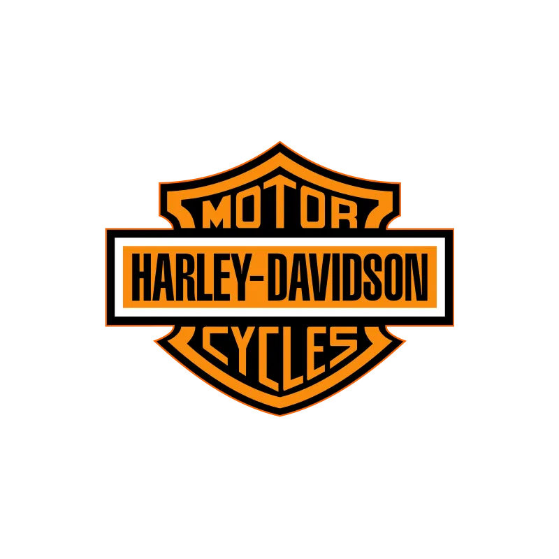 Harley davidson chapter 3