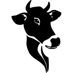 Vache