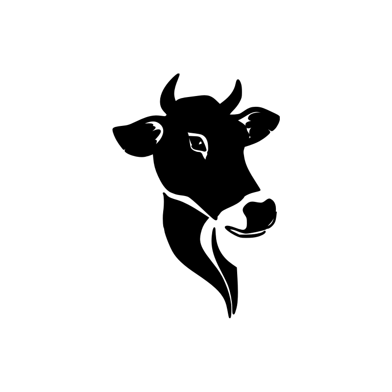 Vache