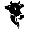 Vache