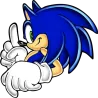 Sonic carapace
