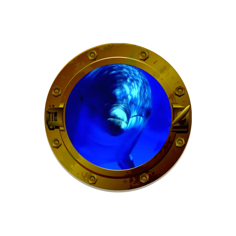 Trompe l'oeil Hublot plage cocotier