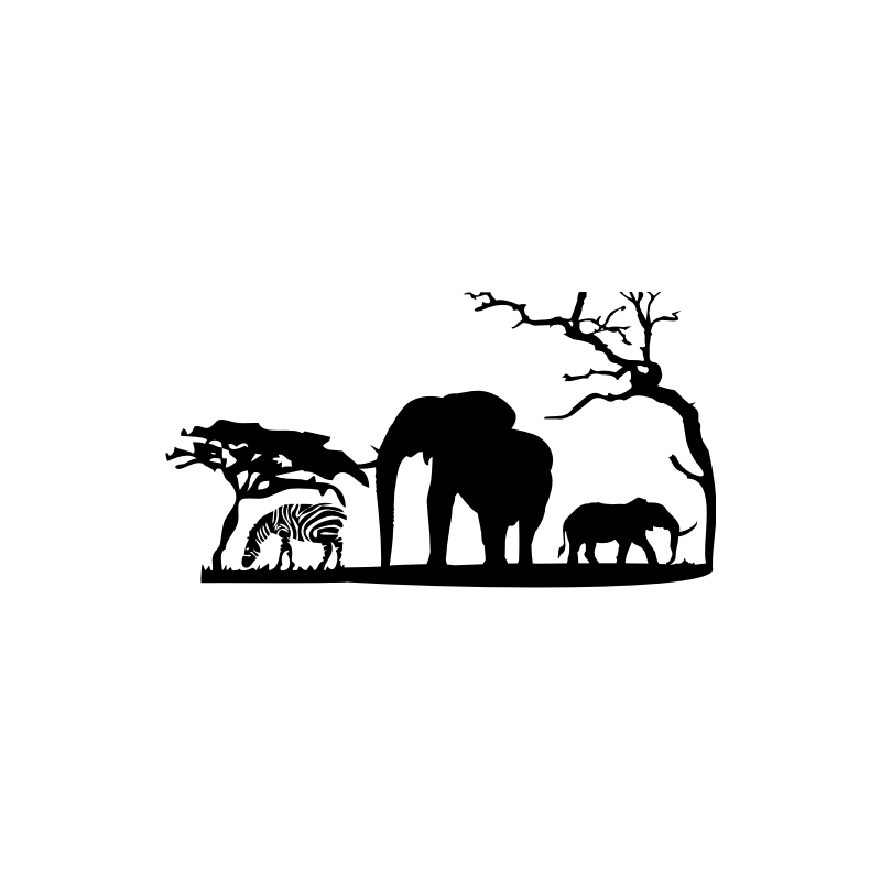 Afrique carte