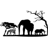 Afrique carte