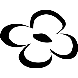 Orchidée 5827