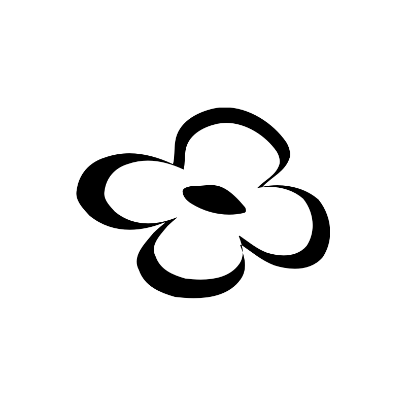 Orchidée 5827