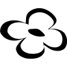 Orchidée 5827