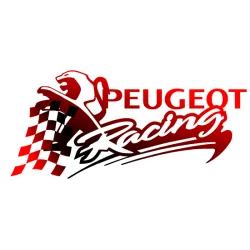 Seat racing