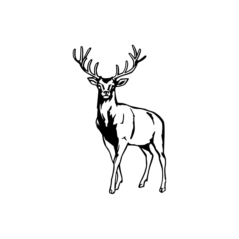 Tête de cerf