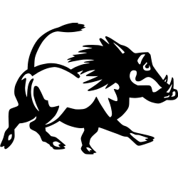 Tête de sanglier