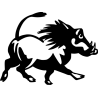 Tête de sanglier
