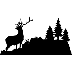 bouilloire