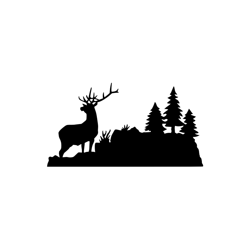 bouilloire