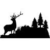 bouilloire