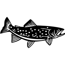 Truite