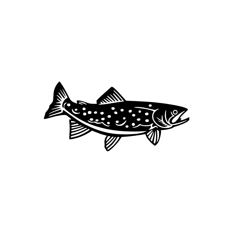Truite