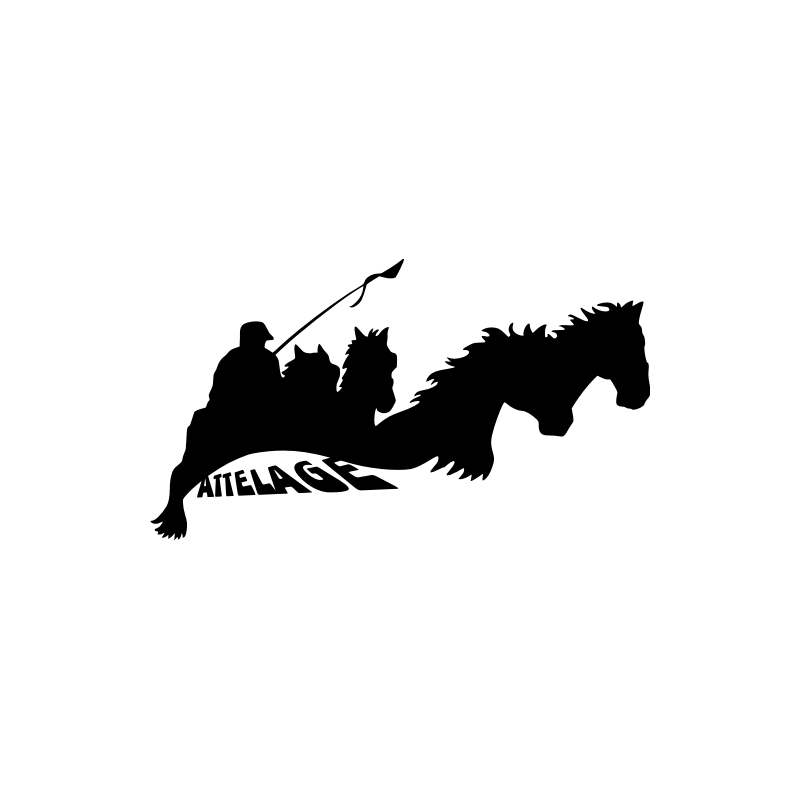 cheval 5801