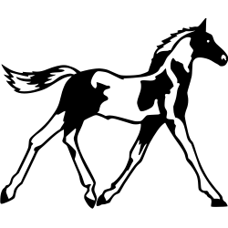 Cheval Trot