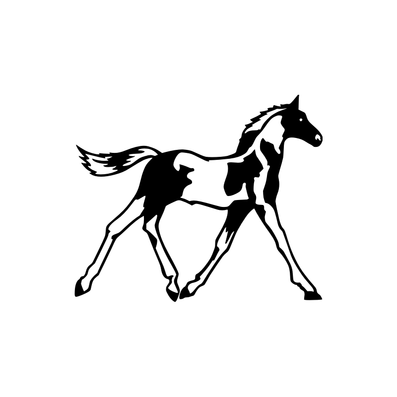 Cheval Trot