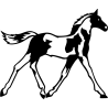 Cheval Trot