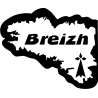 64