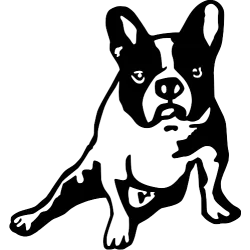 Labrador 5650