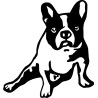 Labrador 5650