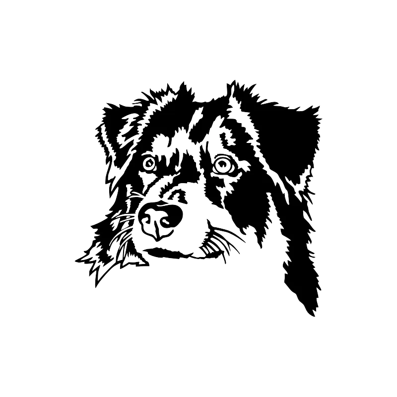 Bouledogue francais