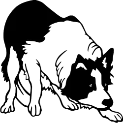 Bouledogue francais