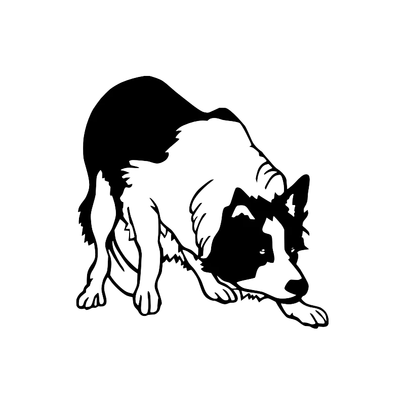 Bouledogue francais