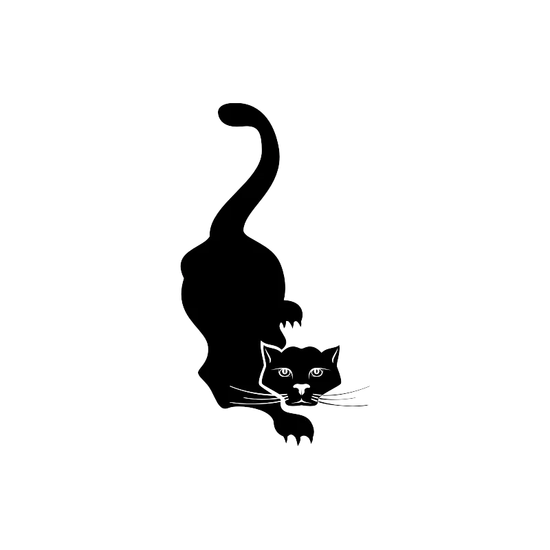 Chat ébouriffé