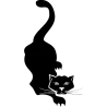 Chat ébouriffé
