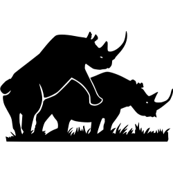 Saute mouton