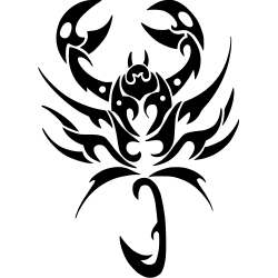 salamandre28