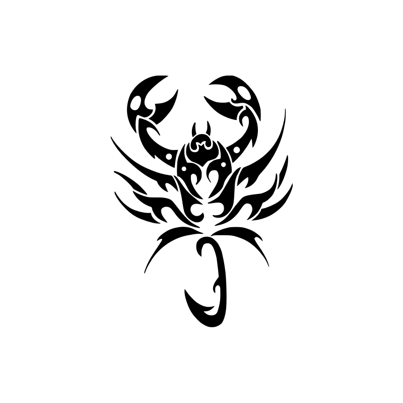 salamandre28