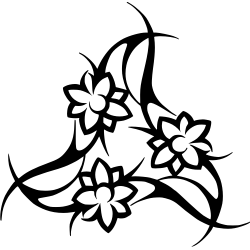Orchidée 5827