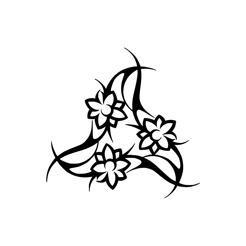 Orchidée 5827